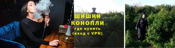 Альфа ПВП Верея