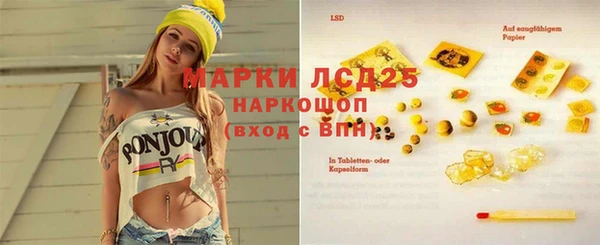 Альфа ПВП Верея