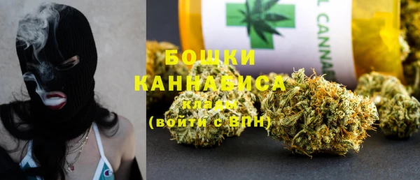 Альфа ПВП Верея