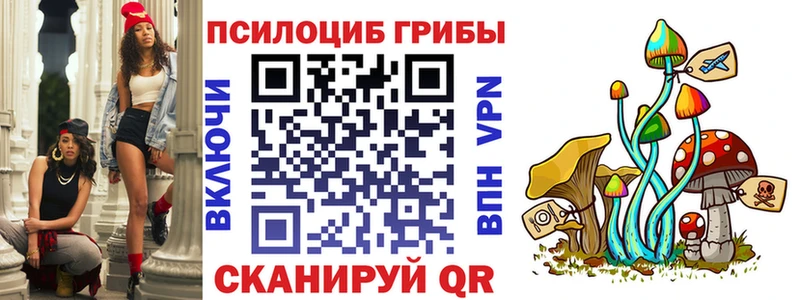 Псилоцибиновые грибы Cubensis  закладка  Нальчик 