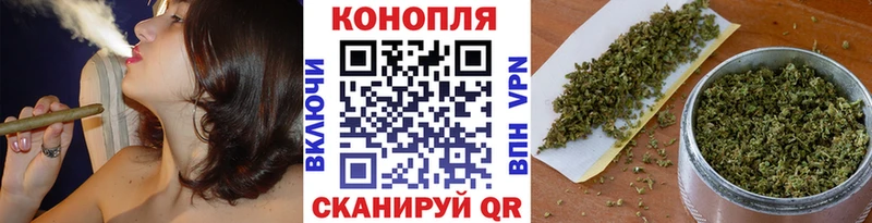 Конопля сатива  Нальчик 